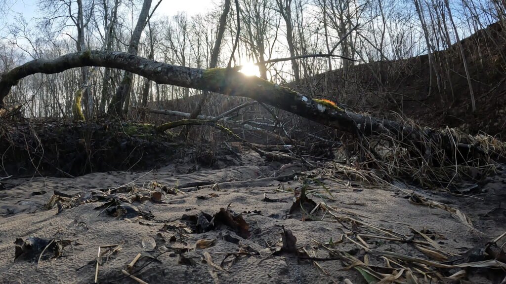 gx010104 1708707579862